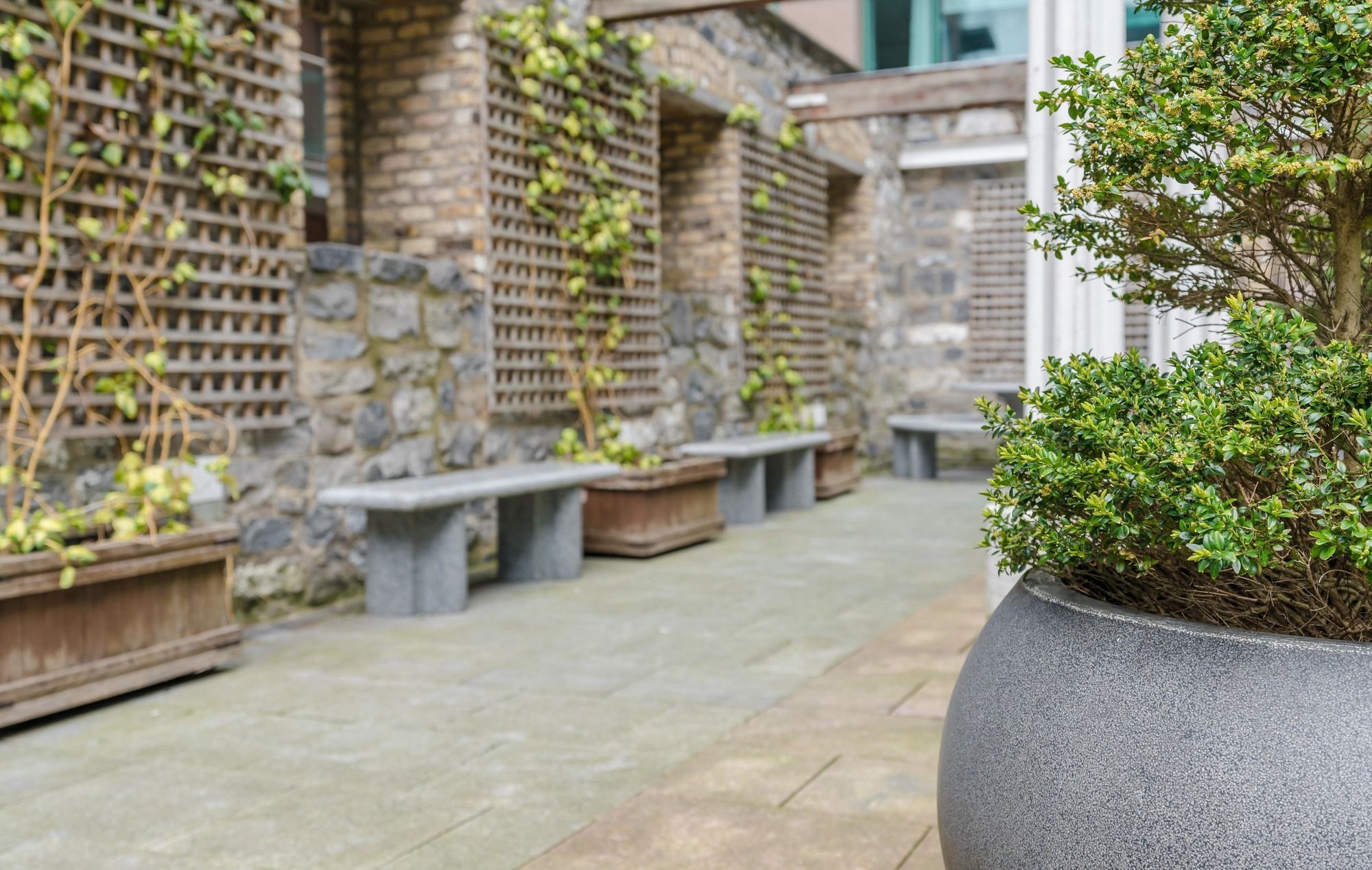 The Grand Canal Dock Apartment Dublín Exterior foto